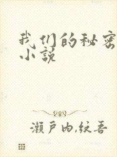 我们的秘密泰剧小说