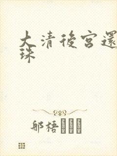 大清后宫还君明珠