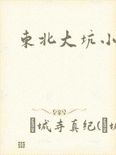 东北大坑小说