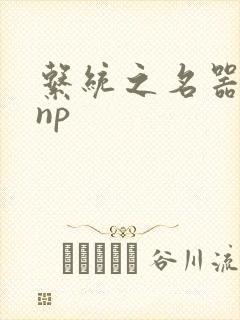 系统之名器攻略np