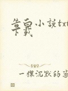 告白小说txt下载