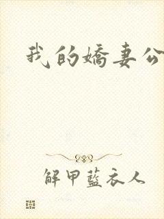 我的娇妻公务员