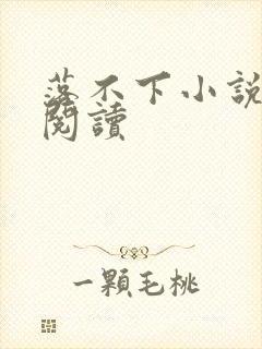 落不下小说全文阅读