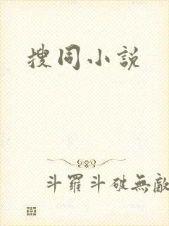 搜同小说