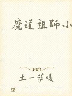 魔道祖师小说
