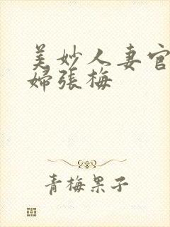 美妙人妻官场少妇张梅