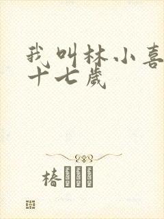 我叫林小喜今年十七岁