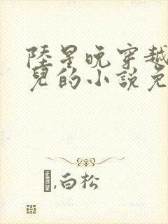 陆星晚穿越成婴儿的小说免费阅读全文