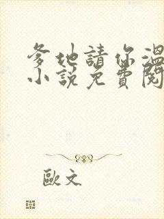 爹地请你温柔点小说免费阅读