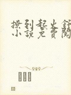 撩到起火舒漾的小说免费阅读全文