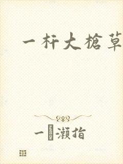 一杆大枪草全家