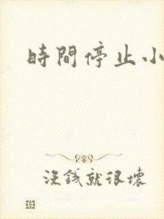 时间停止小说
