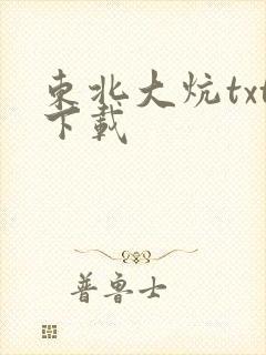 东北大炕txt下载