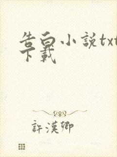 告白小说txt下载