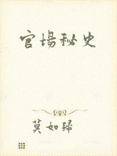 官场秘史