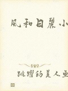 风和日丽小说