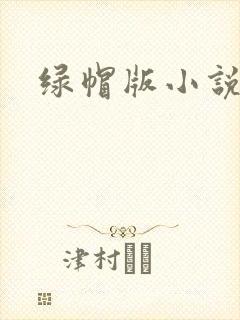 绿帽版小说
