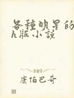 各种明星的综艺h版小说