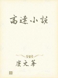 高达小说