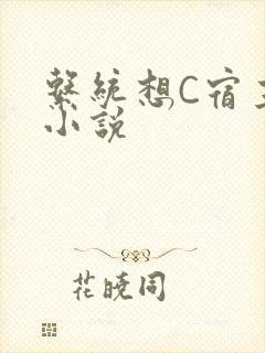 系统想C宿主的小说