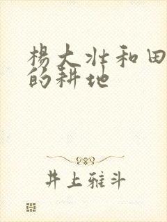 杨大壮和田桂花的耕地