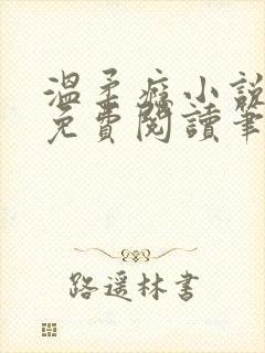 温柔瘾小说全文免费阅读笔趣阁