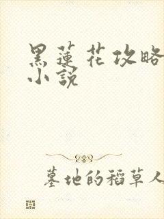 黑莲花攻略手册小说