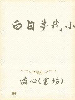 白日梦我小说