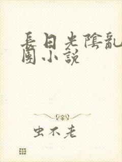 长日光阴乱作一团小说