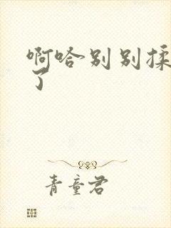 啊哈别别揉那处了