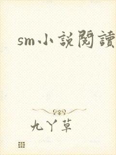 sm小说阅读
