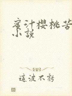 蜜汁樱桃苦咖啡小说