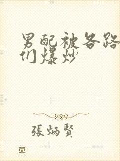 男配被各路大佬们爆炒