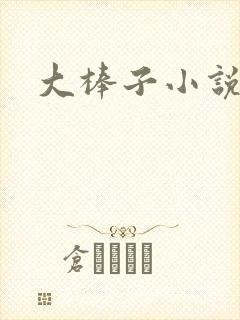 大棒子小说
