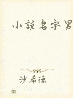 小说名字男生