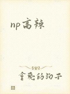 np高辣