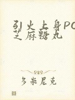 引火上身POP芝麻糖丸