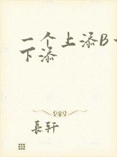 一个上添B一个下添