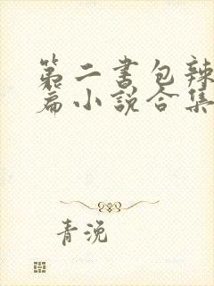 第二书包辣网短篇小说合集