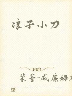 浪子小刀