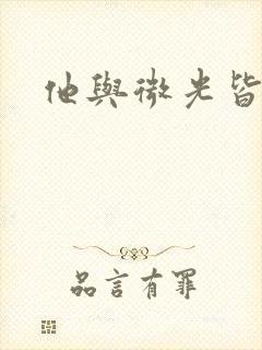 他与微光皆倾城