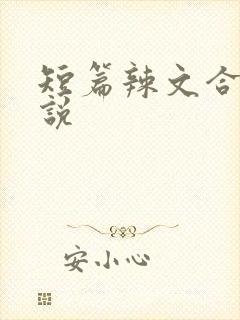 短篇辣文合集小说