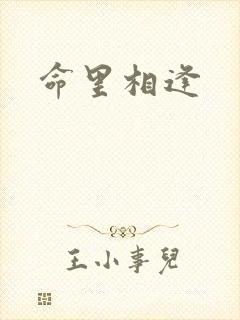 命里相逢