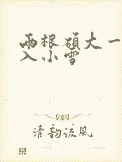 两根硕大一起挤入小雪