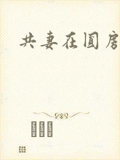 共妻在圆房3p