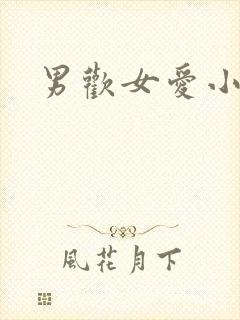 男欢女爱小说