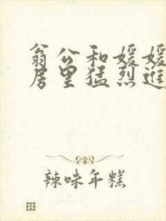 翁公和媛媛在厨房里猛烈进出