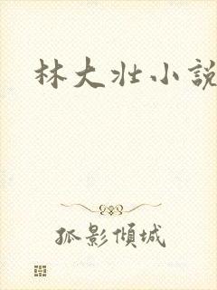 林大壮小说阅读