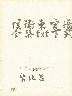 侯卫东官场笔记全集txt下载