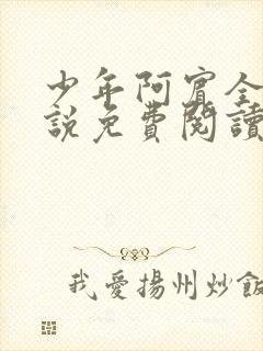 少年阿宾全文小说免费阅读笔趣阁